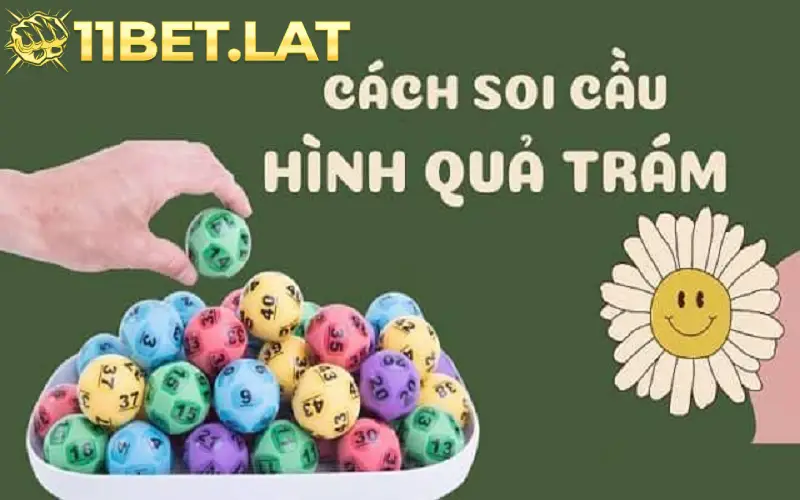 Soi cầu quả trám khi cược lô đề tại 11Bet cho hiệu quả thắng cao