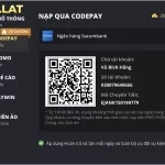 Nạp tiền qua Code Pay